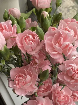 OnlyFans cuenta toria.flowers header 2