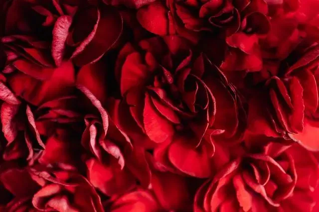 OnlyFans cuenta lilmissmeliss header 2