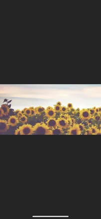 OnlyFans cuenta bemydaddy_xo header 2