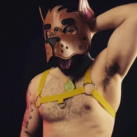 OnlyFans cuenta underdogrex avatar 1