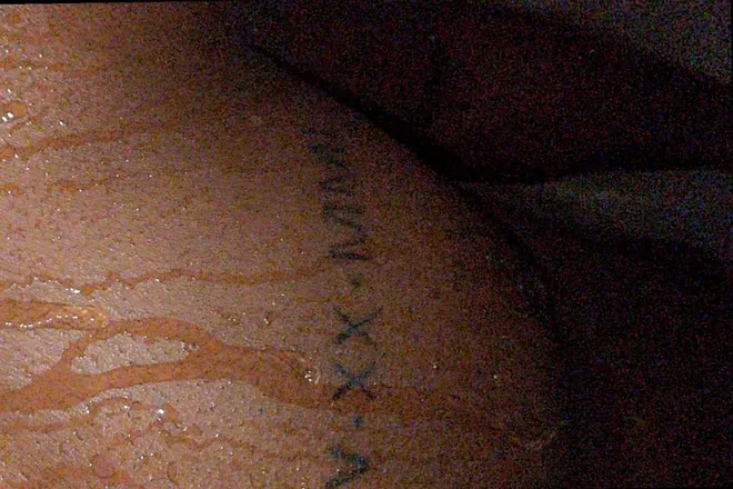OnlyFans account  ostinlogan header 2