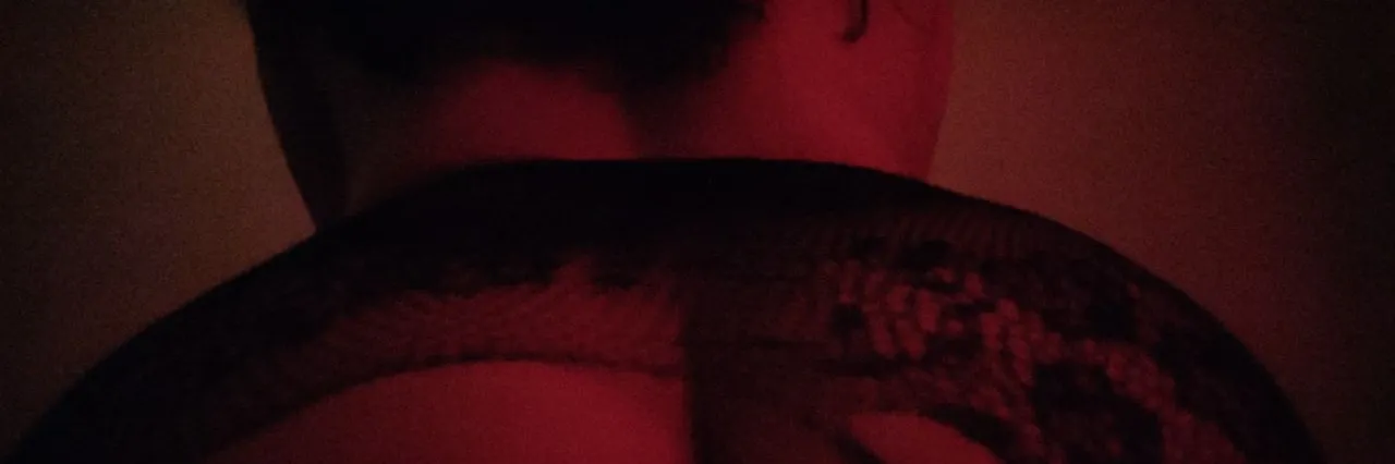OnlyFans cuenta notnastybambi header 2