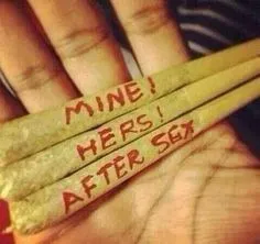 OnlyFans cuenta shaggstoner header 2