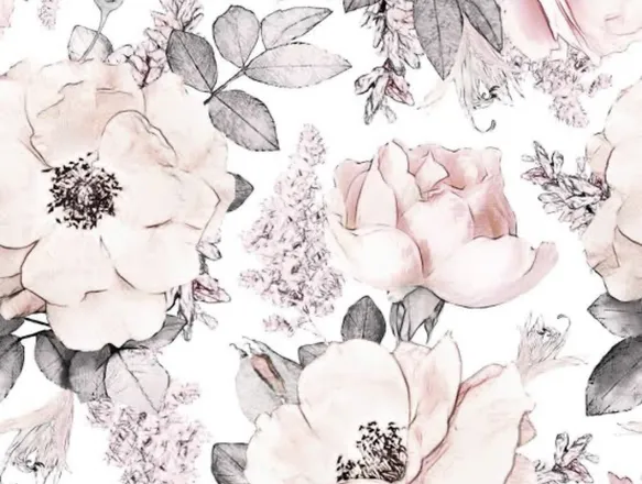 OnlyFans cuenta chloelanne header 2