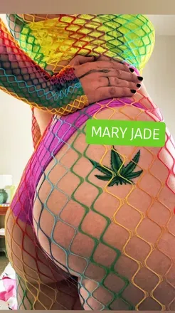 OnlyFans cuenta bitchyhippie avatar 1