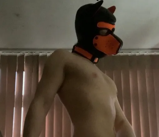 OnlyFans cuenta puppylukas header 2