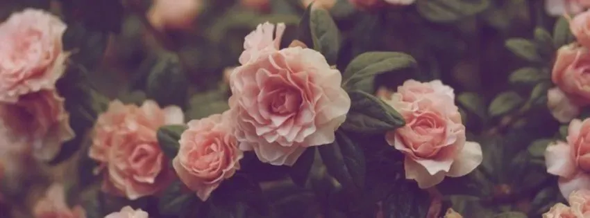 OnlyFans cuenta aleyna.alexiis header 2