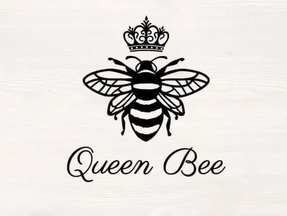 OnlyFans cuenta queenbeesugar50 avatar 1