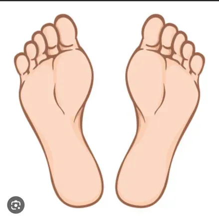 OnlyFans account  dingolo header 2