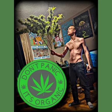 OnlyFans cuenta cosmichippie420 avatar 1
