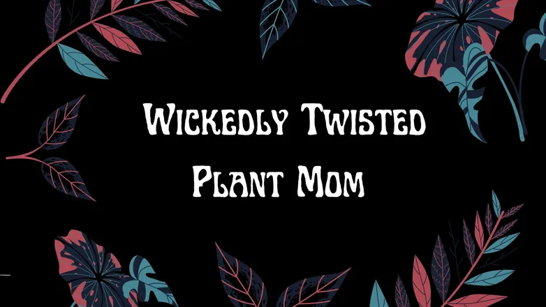 OnlyFans cuenta wickedlytwistedpm header 2