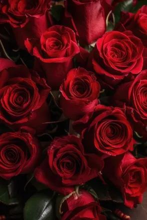 OnlyFans cuenta teeerose header 2