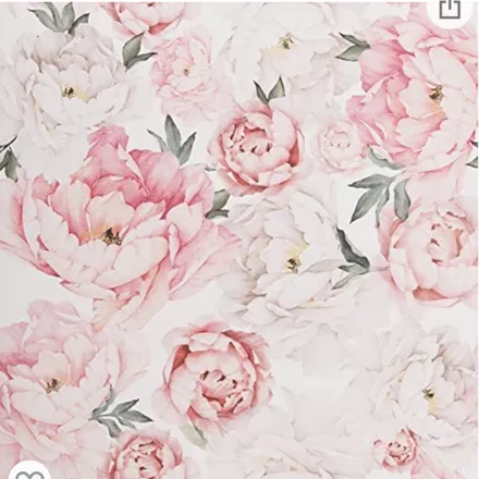 OnlyFans cuenta raindropsandrosess header 1