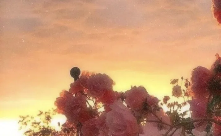 OnlyFans cuenta punnyhoney header 2