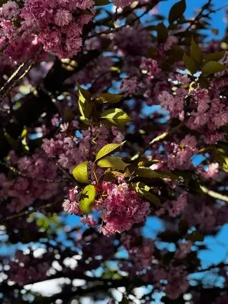 2026-05-28 photo 2