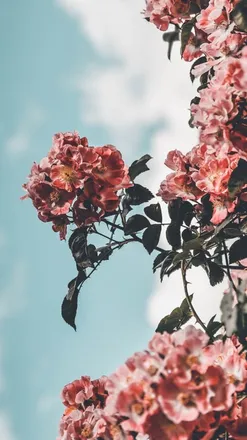 OnlyFans cuenta queenkarah header 2