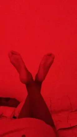 OnlyFans account  parafeets avatar 1