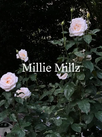 OnlyFans cuenta milliemillz header 2