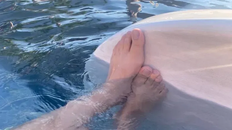 OnlyFans cuenta nicolcloudsfeetfetish header 2