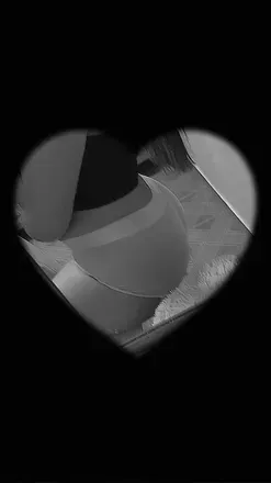OnlyFans cuenta melissa103 avatar 1