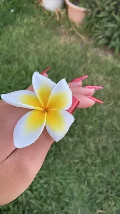 OnlyFans de prettyfeetandnails