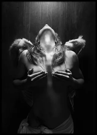 OnlyFans cuenta arielred header 2