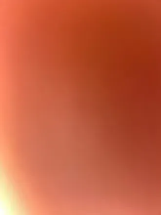 OnlyFans account  cadddssd avatar 1