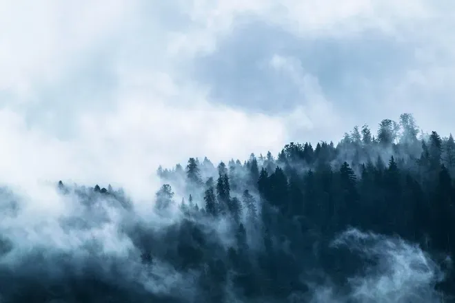 OnlyFans cuenta hedvig header 2