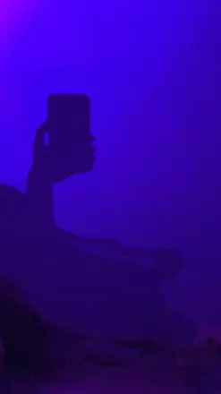 OnlyFans account  isolily header 2