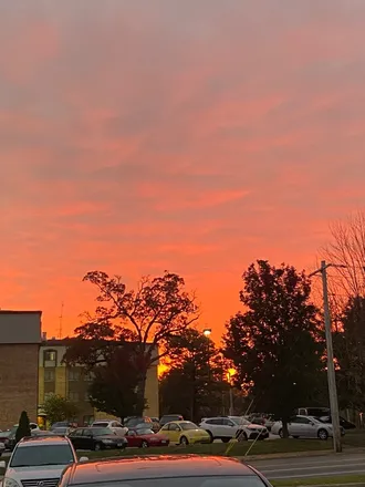 OnlyFans cuenta patti.cakes header 2