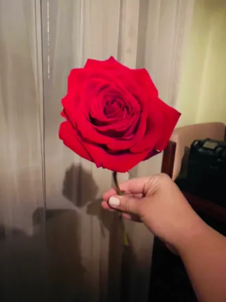 OnlyFans cuenta yourpretendgirlfriend header 2