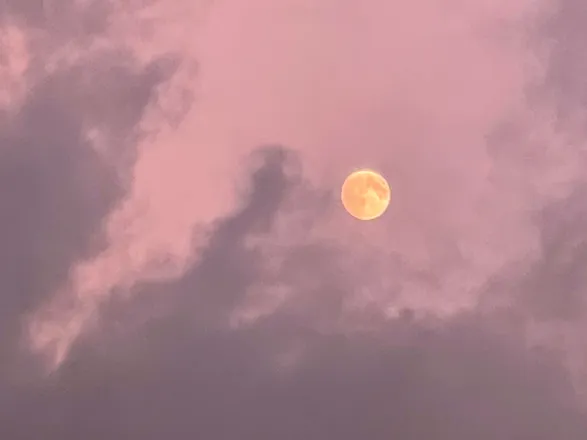 OnlyFans cuenta u229433906 header 2