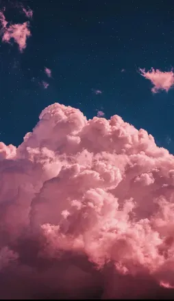 OnlyFans account  twynkiesocks header 2