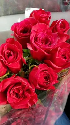 OnlyFans cuenta u57819257 header 2