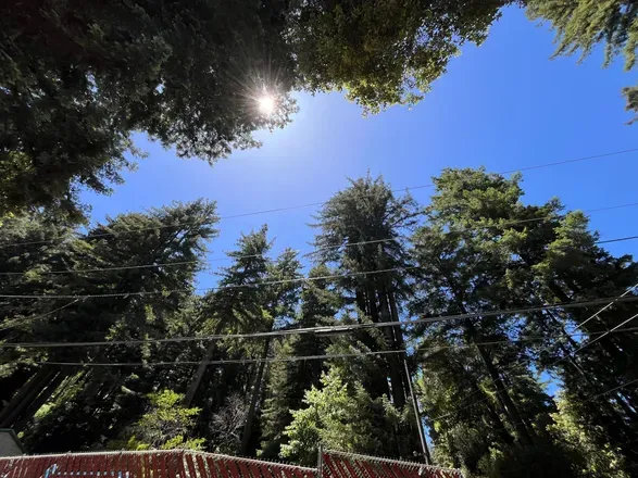 OnlyFans account  bifunbear412 header 2