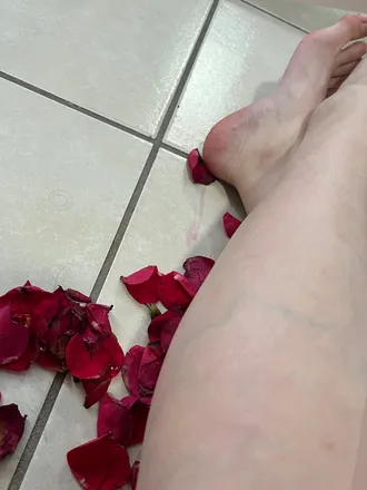 OnlyFans cuenta u77058946 header 2