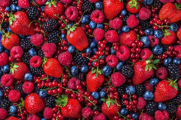 OnlyFans cuenta lildaisyberry header 1