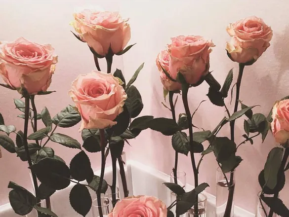 OnlyFans cuenta h0neybliss header 2