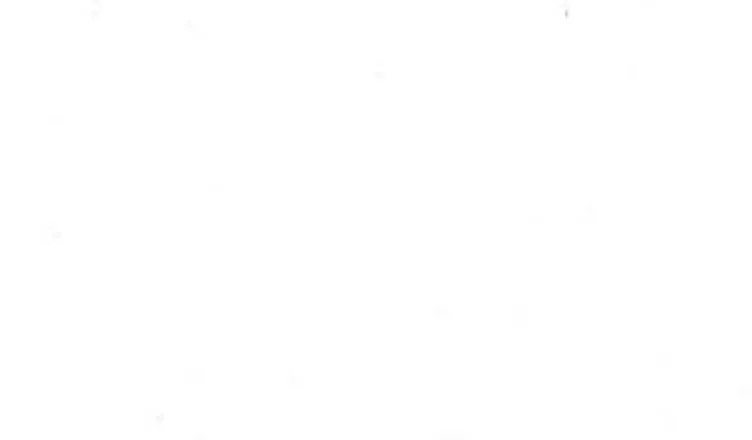 2025-07-02 photo 1