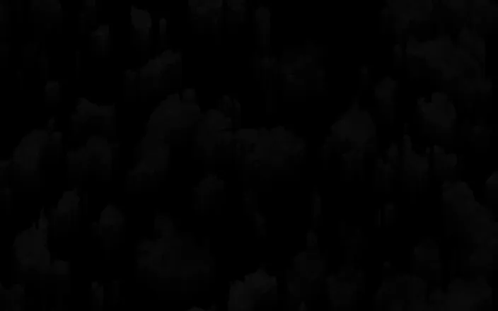 OnlyFans cuenta blairestefani header 2
