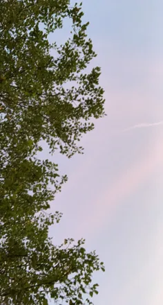 OnlyFans cuenta wzrdddd header 2