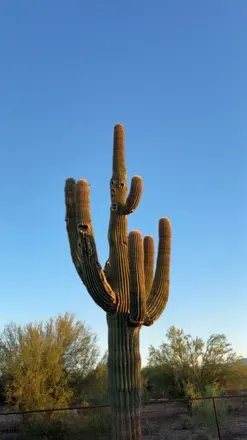 OnlyFans cuenta israelxcarson avatar 1