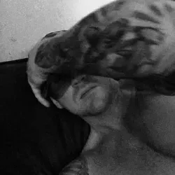 OnlyFans cuenta drlucifermd avatar 1