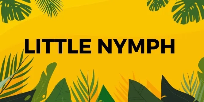 OnlyFans cuenta thelittlenymph header 2