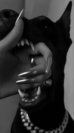 OnlyFans account  onlybabygirl28 header 2