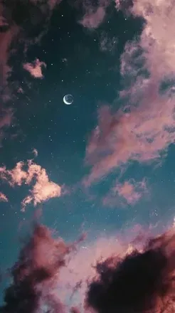OnlyFans cuenta mushroomfrog header 2