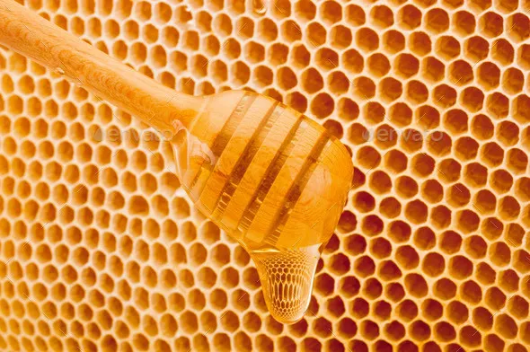 OnlyFans cuenta honeypot_bee header 2