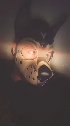 OnlyFans cuenta kdshepherd avatar 1
