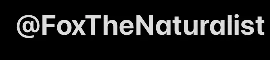 OnlyFans cuenta foxthenaturalist header 2