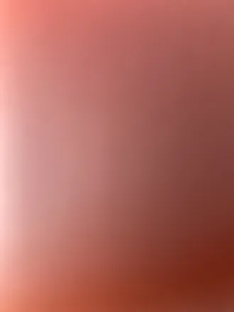 OnlyFans cuenta arianna.venti header 2